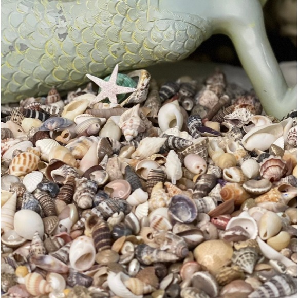 REAL BEACH SAND, SHELLS & SEA GLASS BITS CRAFTING CANDLES SOAP RESIN ART DIY LOT - Picture 5 of 17